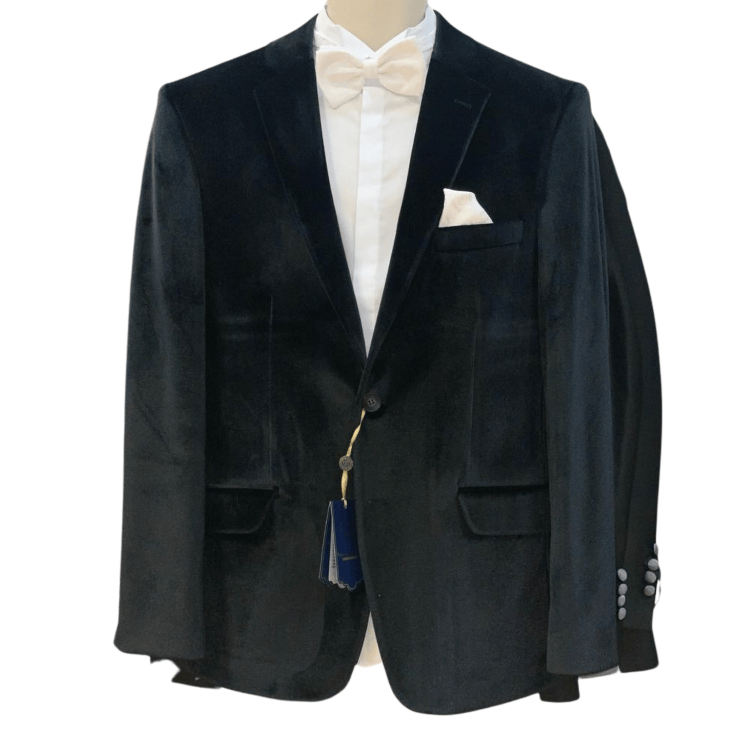 Velvet Sports coat